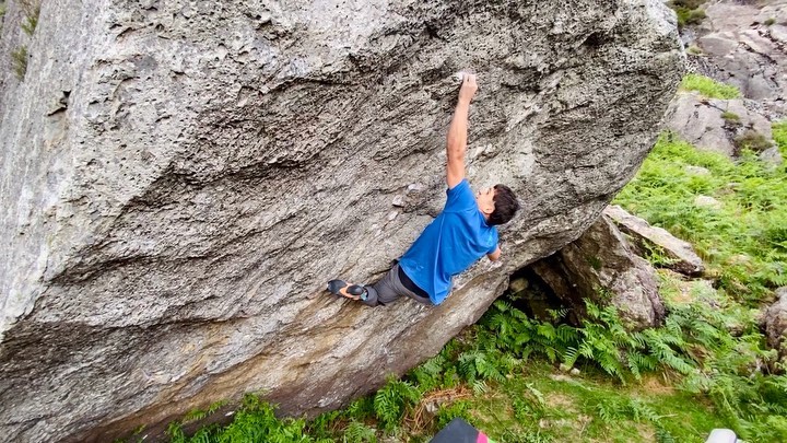Copperline (8A)